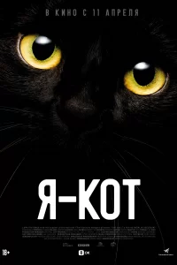  Я — кот 